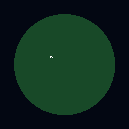 SoftballBatPro Bigfoot Logo